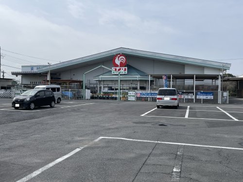 その他　コメリハード&グリーン 白子店（その他）まで4618m