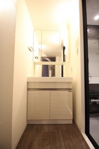 洗面設備　（別タイプ参考写真）ミルーナヒルズD駒込　 北区西ヶ原1