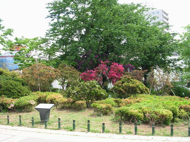 公園　平成つつじ公園（公園）まで243m