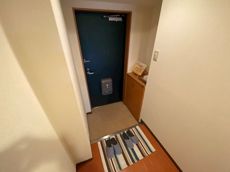 玄関　同タイプ参考写真（203）