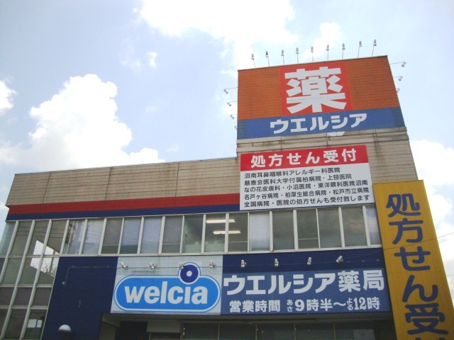 その他　ドラッグストア　ウェルシア（その他）まで1600m