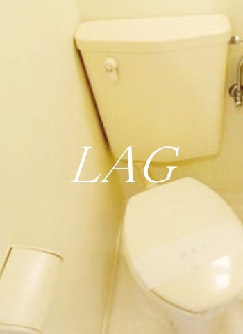 トイレ　トイレです。（同仕様です。）