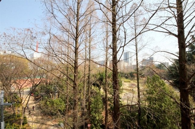 眺望　ドミールうつぼ公園