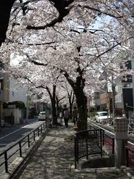 公園　立会川緑道（公園）まで487m