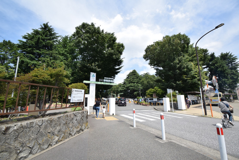 病院　国立相模原病院　徒歩16分（病院）まで1300m