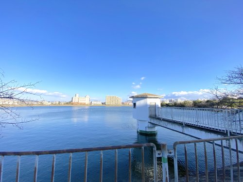 公園　水賀池公園（公園）まで655m