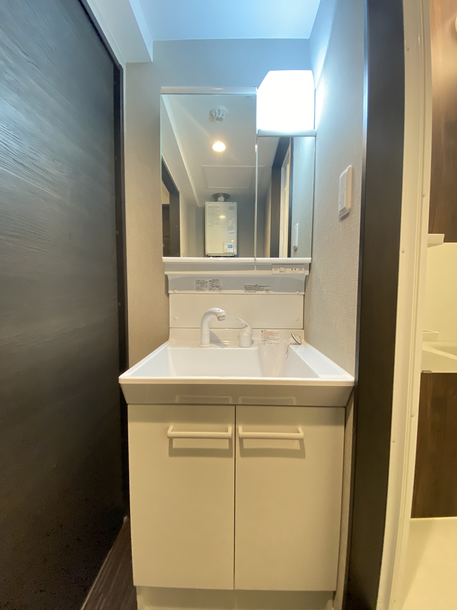 洗面設備　シャワードレッサー付きです。