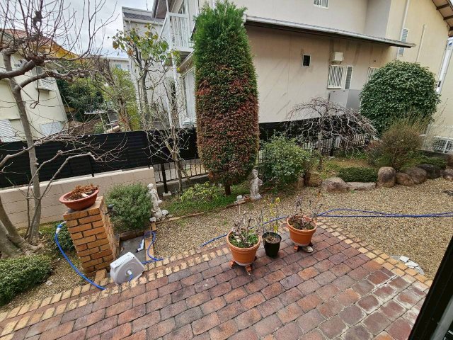 庭