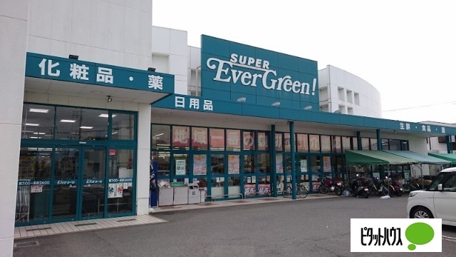 ドラックストア　スーパーエバグリーン湯浅店（ドラッグストア）まで250m