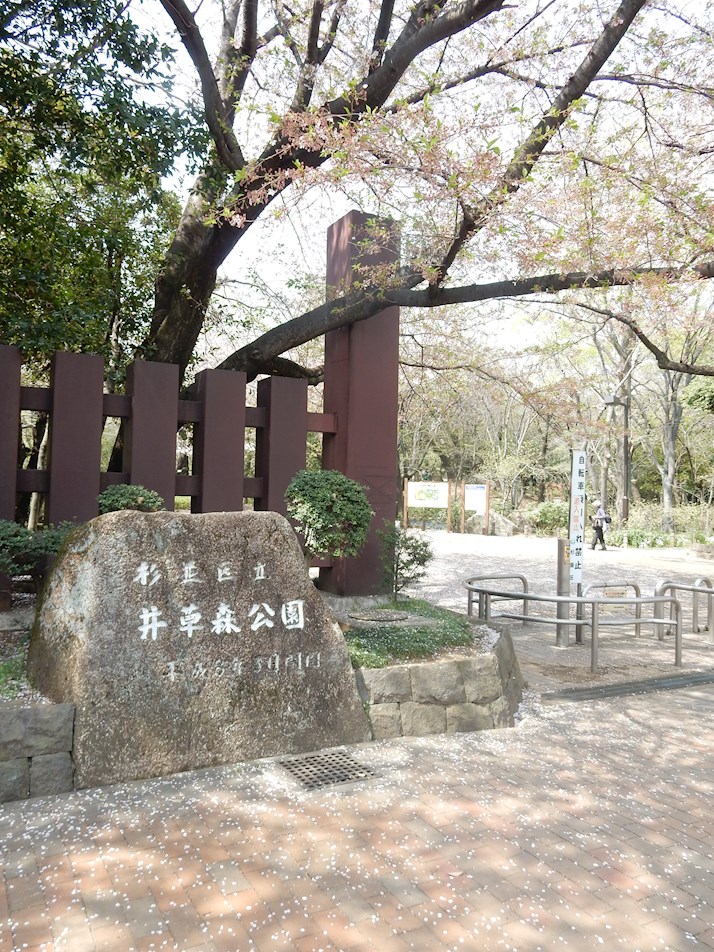 公園　井草の森公園（公園）まで147m