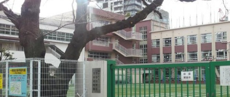 小学校　新宿区立市谷小学校（小学校）まで119m