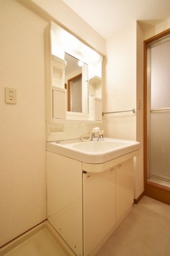 洗面設備　※別部屋の参考写真です。