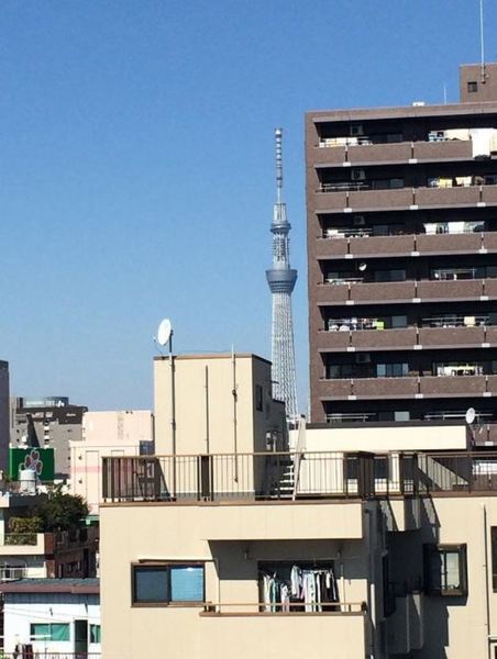 眺望　※別部屋参考写真
