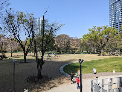 公園　新宿中央公園（公園）まで627m