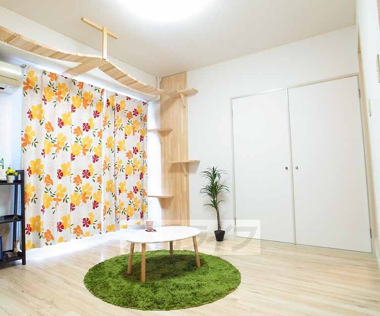 居室・リビング　猫ちゃんが喜ぶお部屋となっております。