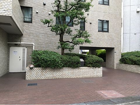 庭