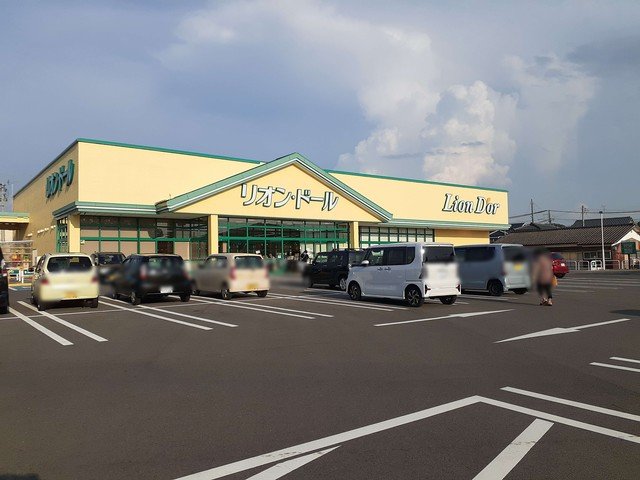 その他　リオンドール新津本町店まで1000m