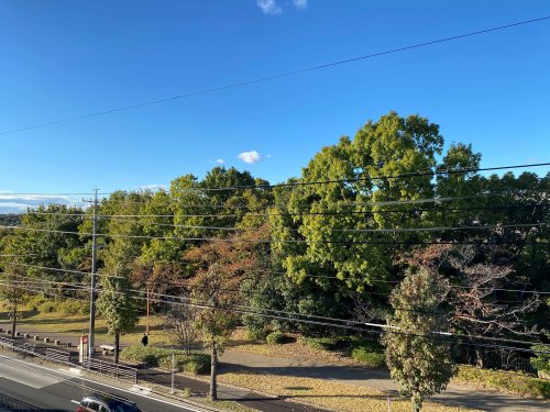 公園　戸笠街園（公園）まで282m
