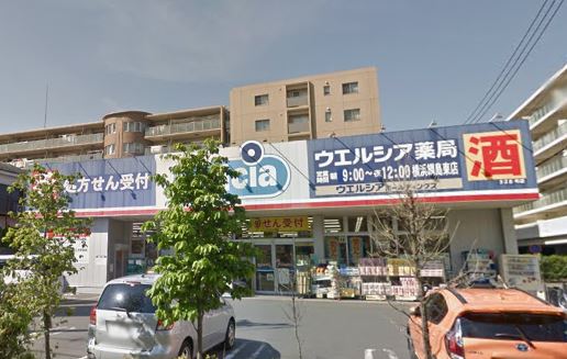 ドラックストア　ウエルシア横浜綱島東店（ドラッグストア）まで831m