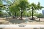 公園　松嶋公園（公園）まで220m