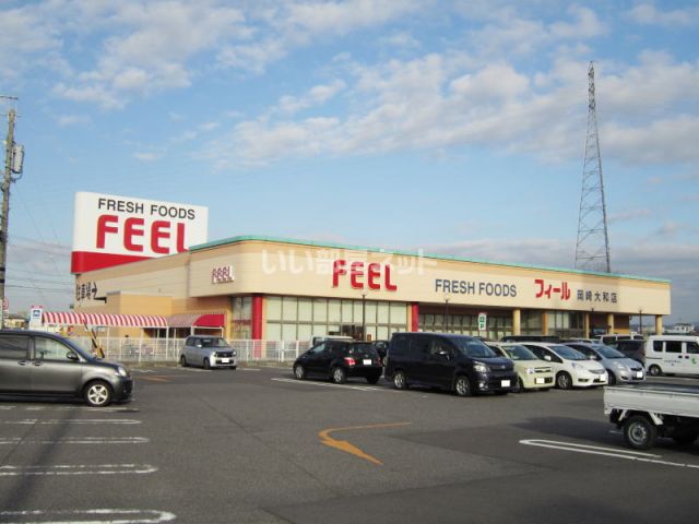 スーパー　フィール岡崎大和店（スーパー）まで1095m