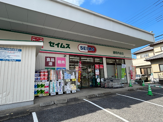 ドラックストア　ドラッグセイムス浦和内谷店（ドラッグストア）まで691m