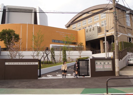 高校・高専　東京都立 総合芸術高等学校（高校・高専）まで247m
