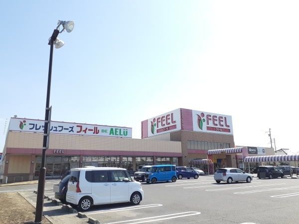 スーパー　フィール アエル店（スーパー）まで1000m