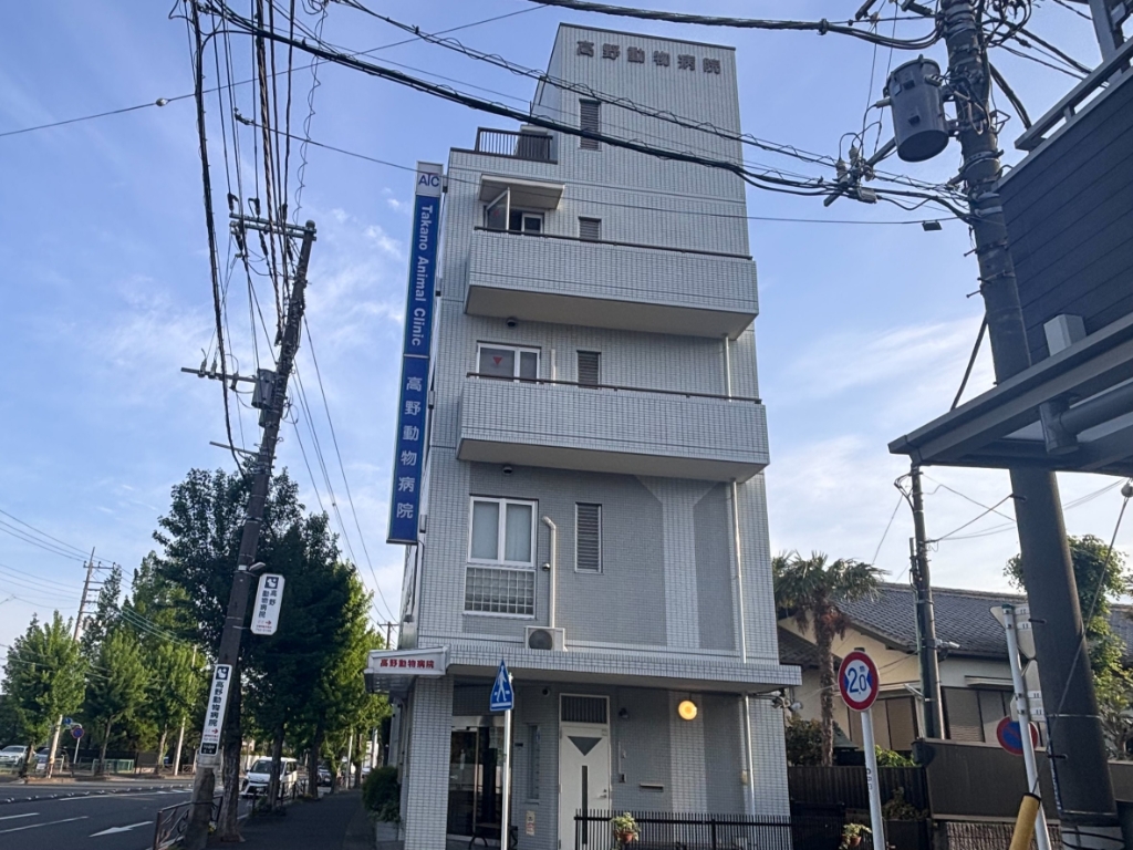 その他　高野動物病院（その他）まで306m