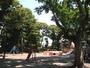 公園　若林公園（公園）まで832m