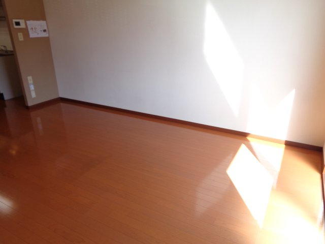 その他部屋・スペース　洋室11.7帖