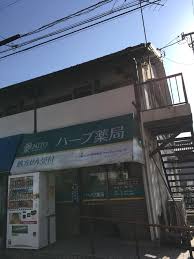 ドラックストア　ハーブ薬局（ドラッグストア）まで251m