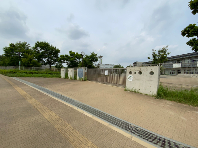 小学校　柏市立柏の葉小学校（小学校）まで484m