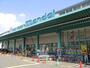 スーパー　万代 加美店（スーパー）まで461m