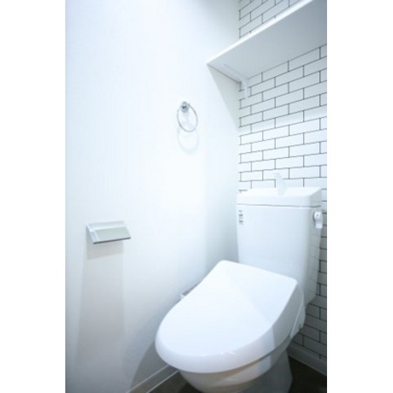 ＪＲ鹿児島本線 箱崎駅 徒歩5分 3階建 築2年のトイレ写真