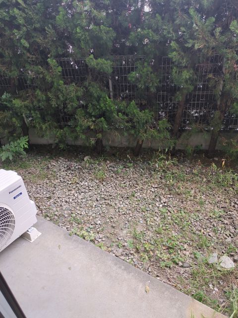 シャングリラ野島Iの内装写真