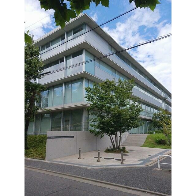 大学・短大　東京都市大学（大学・短大）まで232m