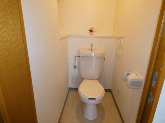 ＪＲ五日市線 武蔵引田駅 徒歩10分 5階建 築35年のトイレ写真