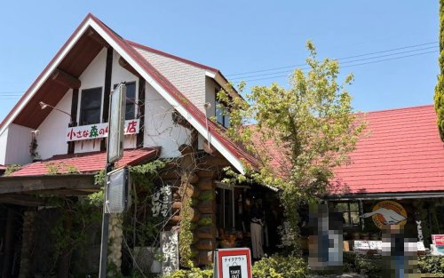 飲食店　小さな森の喫茶店ワイルドダック（飲食店）まで7236m
