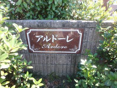 その他　その他
