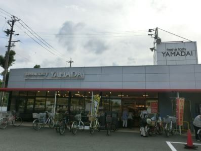 スーパー　ヤマダイアオヤマ店（スーパー）まで800m