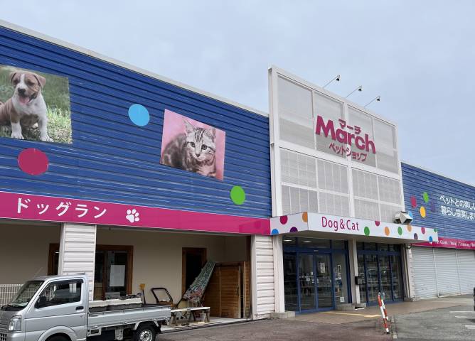 その他　ペットショップ　March（その他）まで1436m