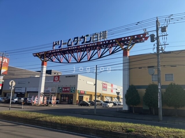 ショッピングセンター　ドリームタウン（ショッピングセンター）まで1100m