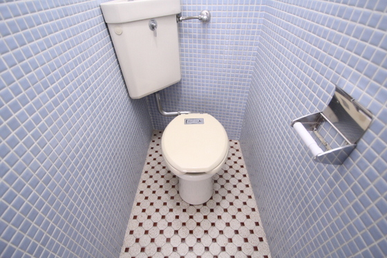 トイレ　※別号室の写真です