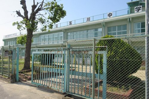 中学校　東大阪市立玉川中学校（中学校）まで1119m