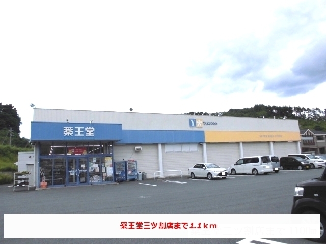 ドラックストア　薬王堂三ツ割店（ドラッグストア）まで1100m