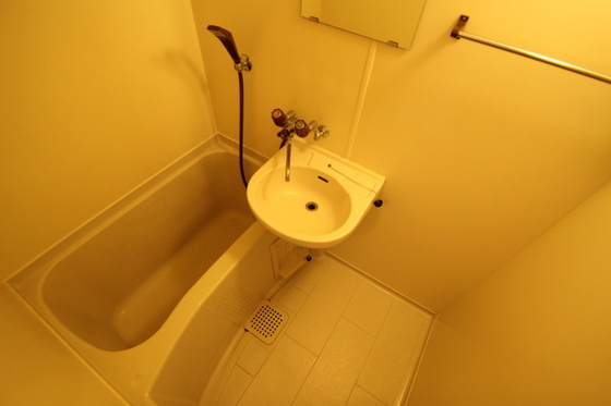 バス・シャワールーム　※別号室の写真です。