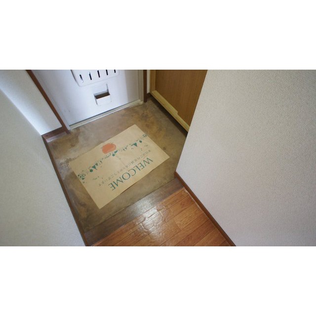 玄関　同仕様タイプ