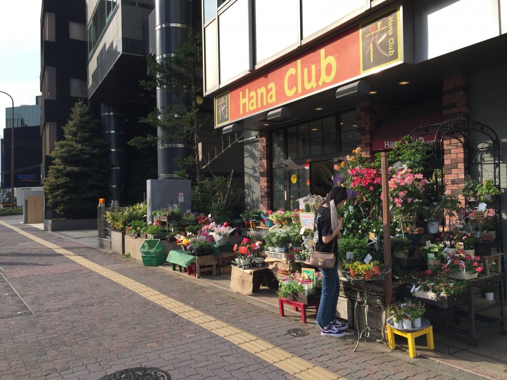 その他　HanaClub（その他）まで917m