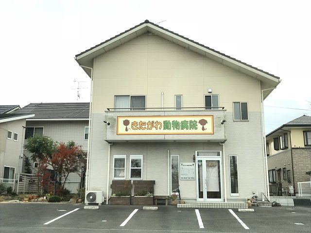 病院　きたがわ動物病院（病院）まで573m